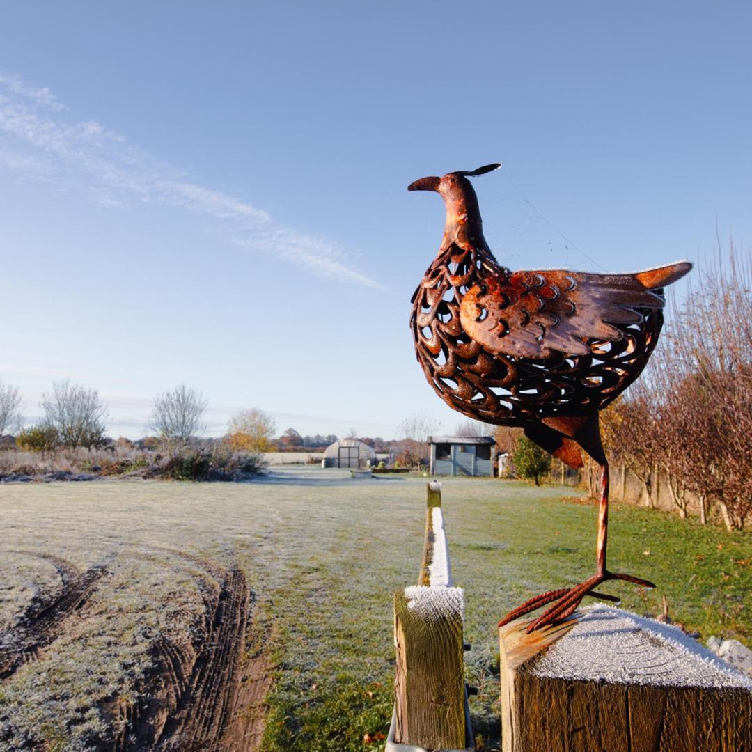 The Pheasant Public House & Hotel Gestingthorpe Esterno foto